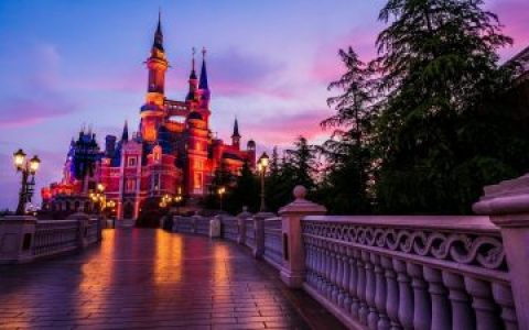 小故事特辑：盛装出席迪士尼，是我难忘的经历！